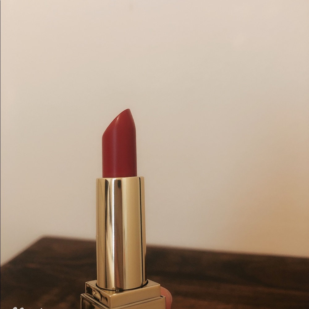 2024 Estée Lauder lipstick #340